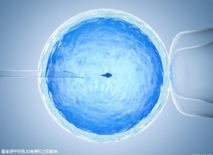 试管代孕包成功男孩